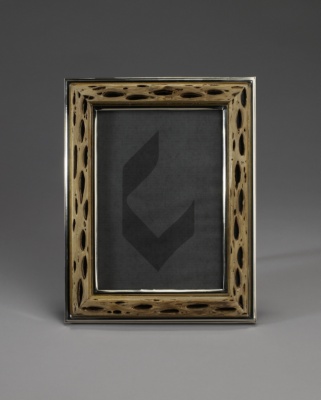 Cactus Picture Frame