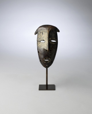 Protection Mask