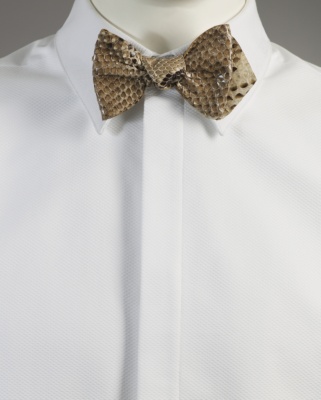 Magnolia Bow