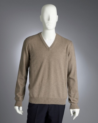 Camel V-Neck Sweater
